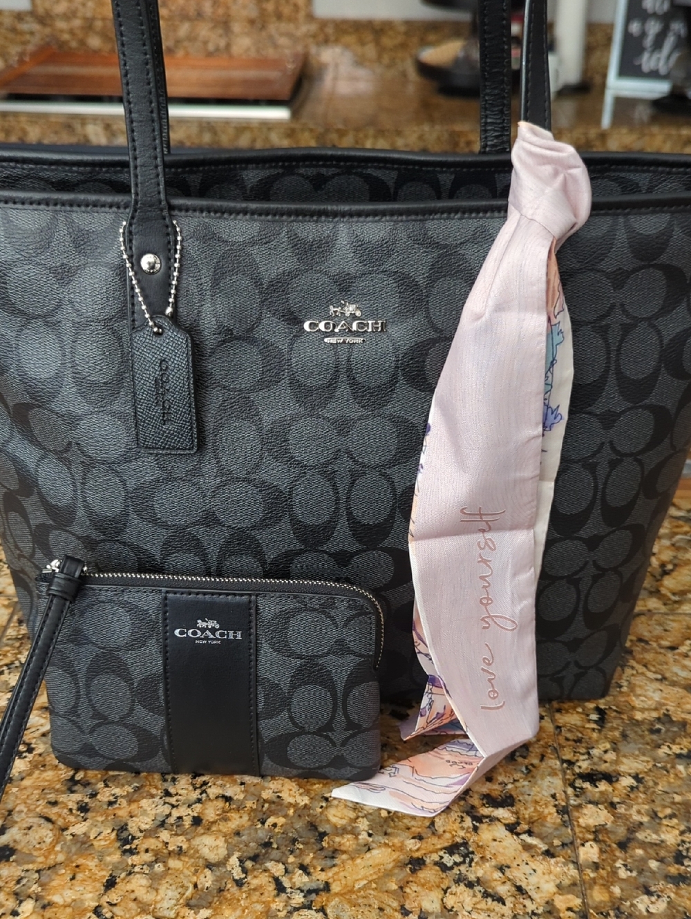 Coach Signature City Tote And Wristlet